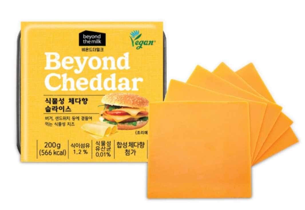 맛있는 식물성치즈 2